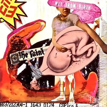 cd - The Faint - Wet From Birth, Verzenden, Zo goed als nieuw