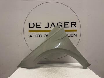 VOLKSWAGEN POLO 2G VOORSCHERM SPATBORD LINKS 2G0821105, Ophalen, Gebruikt, Voor, Volkswagen