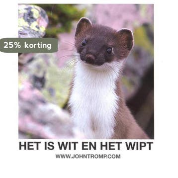 Het is wit en het wipt - John Tromp 9789080302808, Verzenden, Zo goed als nieuw, John Tromp