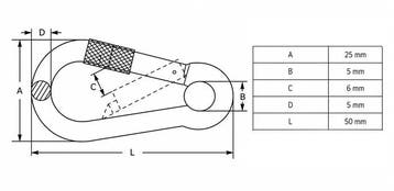 Rvs Karabijnhaken met oog en schroef 5x50, Verzenden, Nieuw