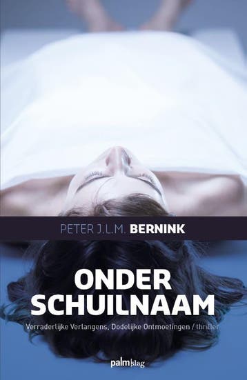 Onder Schuilnaam | Peter Bernink | Nieuw, Boeken, Ophalen of Verzenden, Nieuw, Peter Bernink