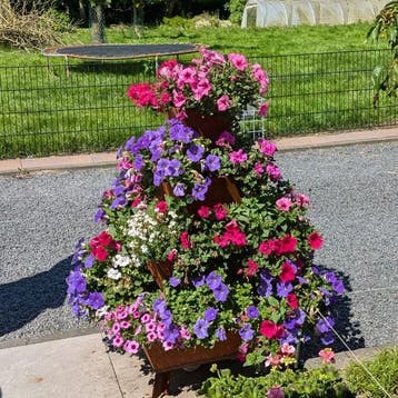 Bloembak / plantenbak cortenstaal, 100 cm of meer, Verzenden, Nieuw, Balkon