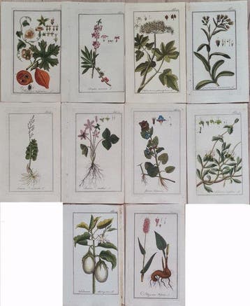 Johannes Zorn. J Sepp - 10 handgekleurde kopergravures oa.