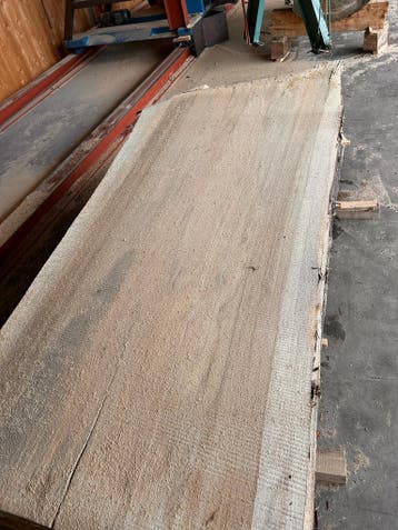 9X Boomstambladen, complete partij 490,- REF 799, Nieuw, Ophalen of Verzenden, 200 tot 250 cm, 50 mm of meer