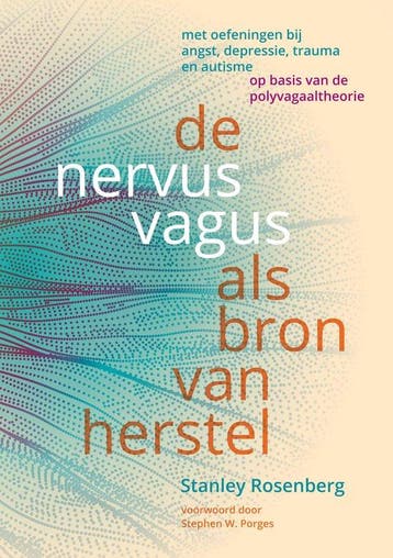 9789463160667 De nervus vagus als bron van herstel, Verzenden, Nieuw, Stanley Rosenberg