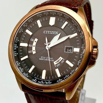 Citizen - Eco-Drive Radio Controlled Perpetual Calendar, Nieuw