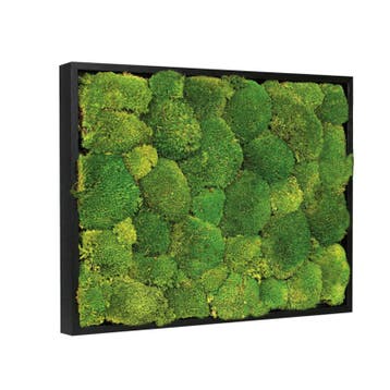 Vintlux Mosschilderij Bolmos 30x40 cm Zwart, Huis en Inrichting, Woonaccessoires | Wanddecoraties, Nieuw