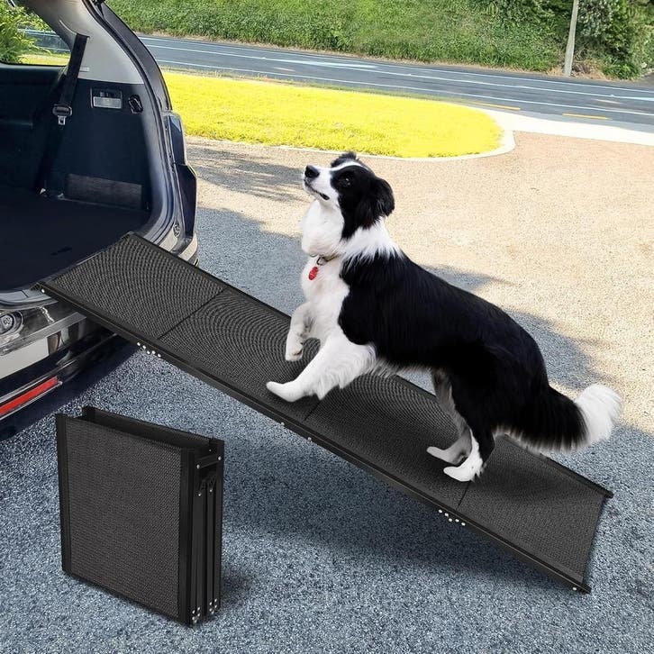 Auto loopplank hond XL | Lichtgewicht | Laatste Stuk!, Dieren en Toebehoren, Honden-accessoires, Zo goed als nieuw, Ophalen of Verzenden