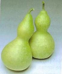 Bottle Gourd Giant Lagenaria 50 zaden, Ophalen of Verzenden, Nieuw
