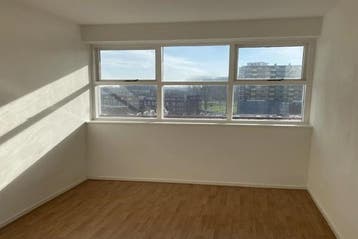 Appartement Zuidplein in Rotterdam, Rotterdam, Via bemiddelaar, Appartement, Rotterdam
