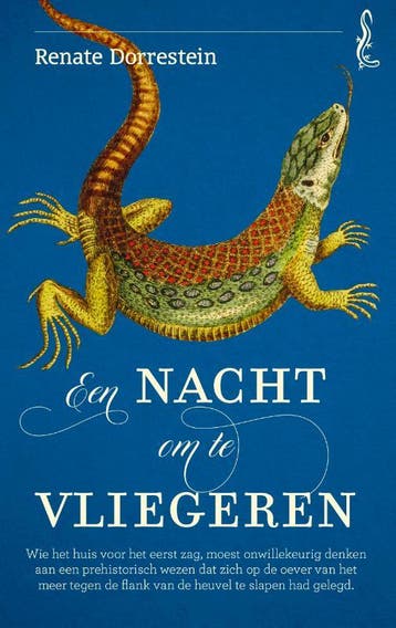 Een Nacht Om Te Vliegeren | Renate Dorrestein | Nieuw, Ophalen of Verzenden, Nieuw, Renate Dorrestein