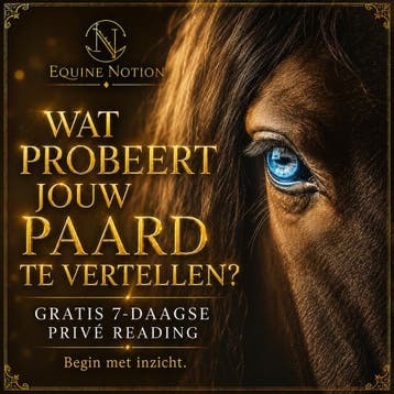 Wat probeert jouw paard je te vertellen?