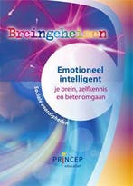 Breingeheimen Emotioneel intelligent Werkboek 9789079815173, Boeken, Zo goed als nieuw