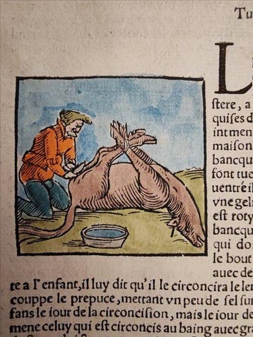 Sebastian Münster (1489–1552) - Cosmographie Universelle -