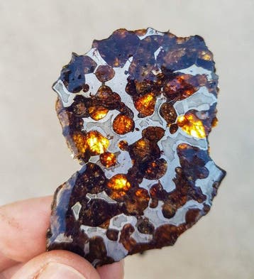 Pallasiet HQ Sericho pallasite - Hoogte: 7.5 cm - Breedte: