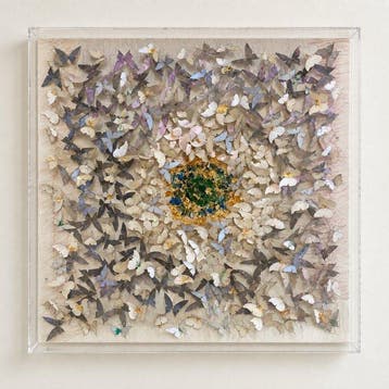 Mike Blackarts - Textured 3D Butterfly Relief in Acrylic, Antiek en Kunst