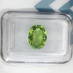 Zonder minimumprijs - 1 pcs Groen, Geel Toermalijn - 2.72 ct, Nieuw