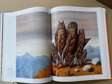René Magritte - Zijn Leven en Kunst in alle facetten - NIEUW, Ophalen of Verzenden, Zo goed als nieuw, Schilder- en Tekenkunst