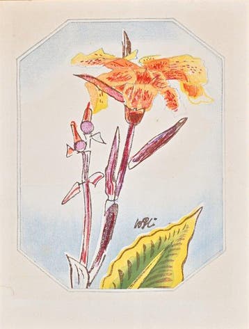 Fifty Flower Themes - Canna  - 1930 - Limited Edition -