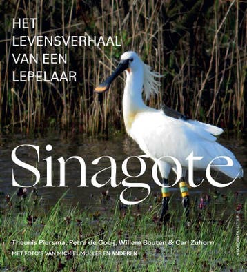 Sinagote 9789056157227 Theunis Piersma, Verzenden, Zo goed als nieuw, Theunis Piersma