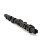 Skunk2 Tuner Series D-Series Honda Stage 4 Camshaft, Ophalen of Verzenden, Nieuw