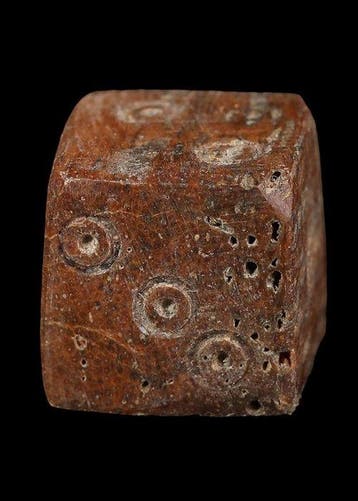 Oud-Romeins Been Die (Zonder minimumprijs)