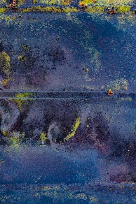 Bernhard Lang - The_Bog_Renatured_11, Antiek en Kunst, Kunst | Designobjecten