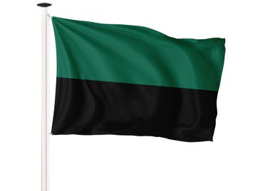 Vlag Texel 150x225cm (voor masten 6 en 7 meter), Nieuw