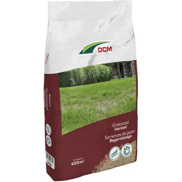 Graszaad herstel | DCM | 400 m² (Snel kiemend, 6 kg), Verzenden, Nieuw