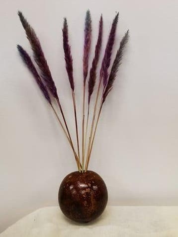 Fluffy Pampas Milka 70gr 75-80cm, Ophalen of Verzenden, Nieuw