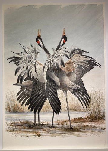 Dag Peterson (1939-2019) - Dancing Cranes