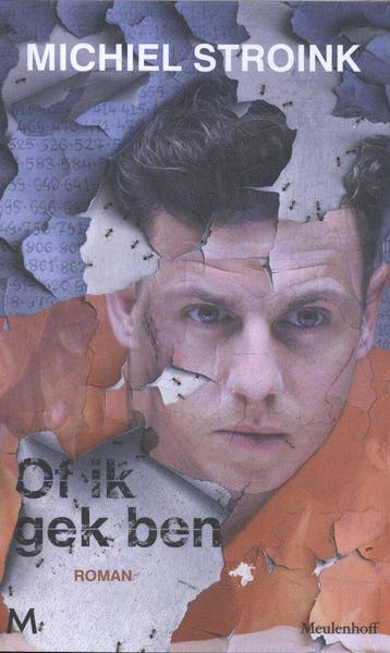 9789059900400 Of ik gek ben Michiel Stroink, Verzenden, Nieuw, Michiel Stroink