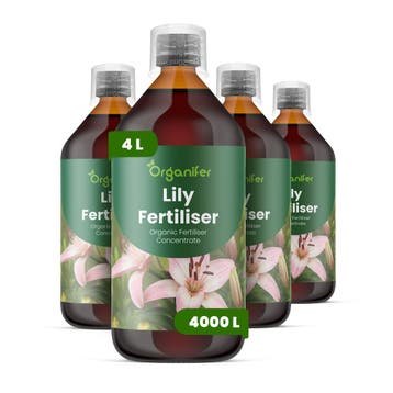 Lelie Vloeibare meststof - Set 4x1 liter, Verzenden, Mest