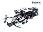 Kabelboom Piaggio | Vespa Beverly 400 HPE 2021 (1D003890-00), Motoren, Verzenden, Gebruikt