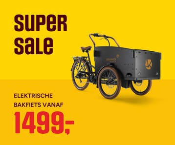 RAAKS elektrische bakfiets nu al va 1499 beste prijs NL!, Ophalen of Verzenden, Nieuw, Huif