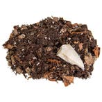 Isopods Kweekbodem – Compleet Substraat met Voeding & Sepia, Dieren en Toebehoren, Insecten en Spinnen