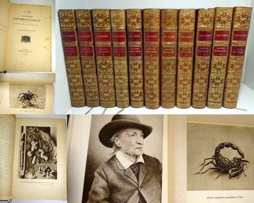 J.-H. Fabre - Souvenirs entomologiques - 1920-1924