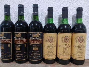 1983 Bodegas Magaña, Viña Magaña (x3) & 1982 Bodegas, Nieuw