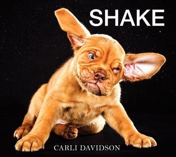 SHAKE - Carli Davidson 9780062242648, Verzenden, Zo goed als nieuw, Carli Davidson