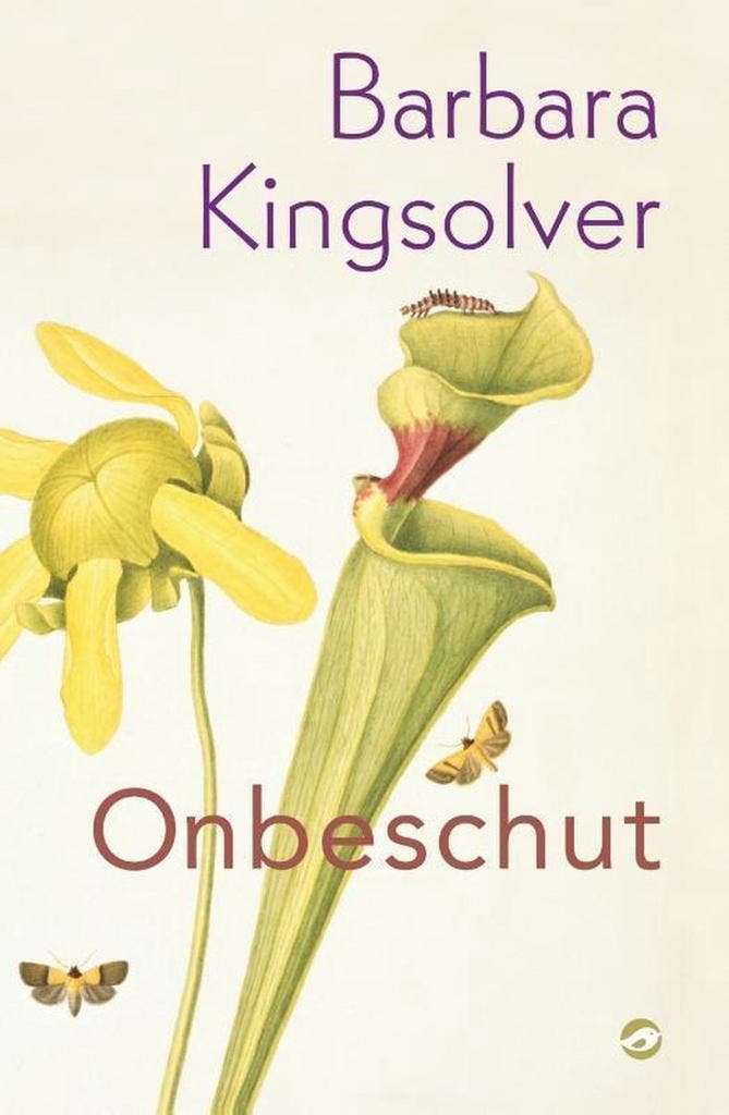 Onbeschut 9789493081079 Barbara Kingsolver, Boeken, Romans, Gelezen, Verzenden