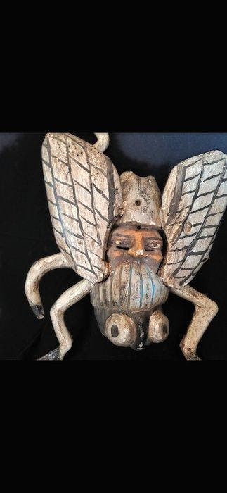 Mot Taxidermie volledige montage - Farfalla - 60 cm - 40 cm