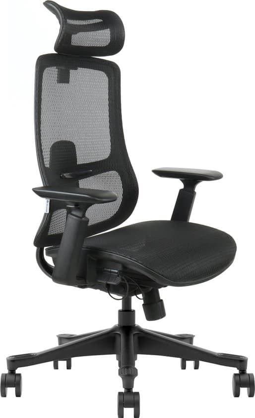 Stane Premium mesh zitting Ergonomische Bureaustoel - Office, Huis en Inrichting, Bureaustoelen, Zo goed als nieuw, Ophalen of Verzenden