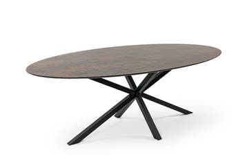 Tafel 220x120 cm, Ophalen, 200 cm of meer, Zo goed als nieuw, Vijf personen of meer