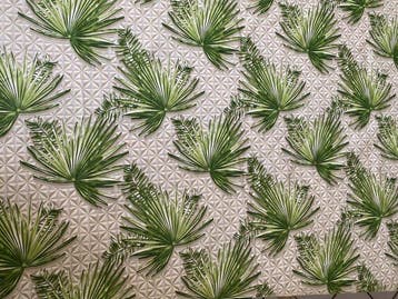 San Leucio top quality - exclusieve stof met palmen en een