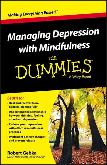 Managing Depression With Mindfulnes - Robert Gebka, Verzenden, Zo goed als nieuw, Robert Gebka