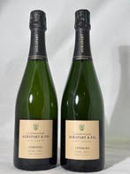 2019 Agrapart, Champagne Agrapart & Fils Terroirs - Cotes, Verzamelen, Nieuw