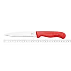 RÖR Solingen Groentemes – RVS – Lemmet 14,5 cm – Heft, Ophalen of Verzenden, Nieuw, Rvs of Chroom, Los bestek