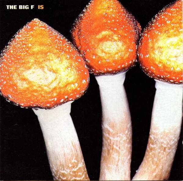cd - The Big F - Is, Cd's en Dvd's, Cd's | Overige Cd's, Zo goed als nieuw, Verzenden