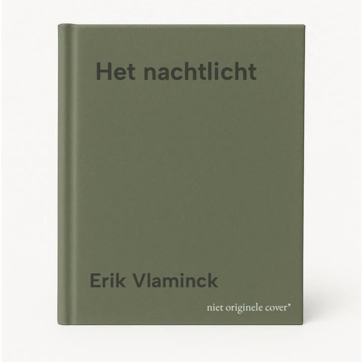 Het nachtlicht 9789493456006 Erik Vlaminck, Boeken, Romans, Gelezen, Verzenden