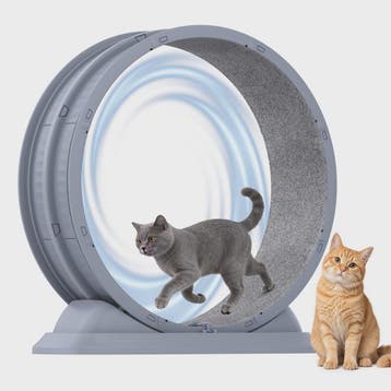 Groot Kattenloopwiel 31.5 inch - Stil & Veilig - Afneembaar, Verzenden, Nieuw